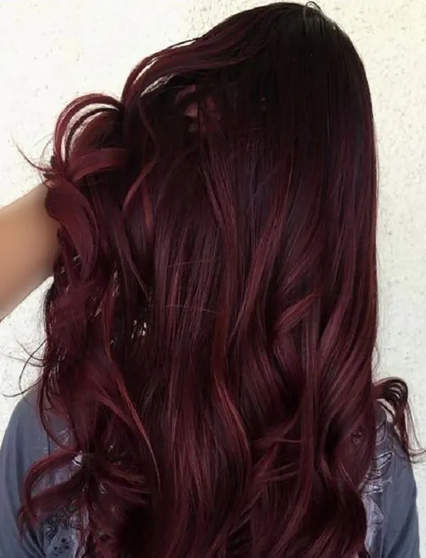 Dark burgundy hair color 2