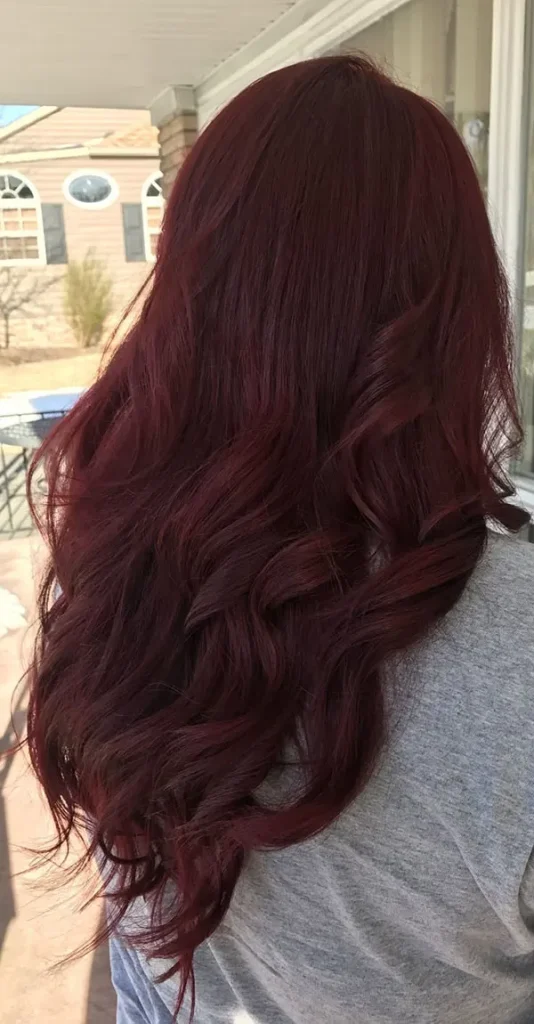 Dark burgundy hair color 22