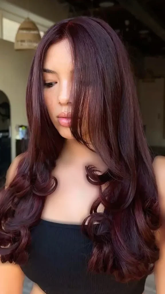 Dark burgundy hair color 26