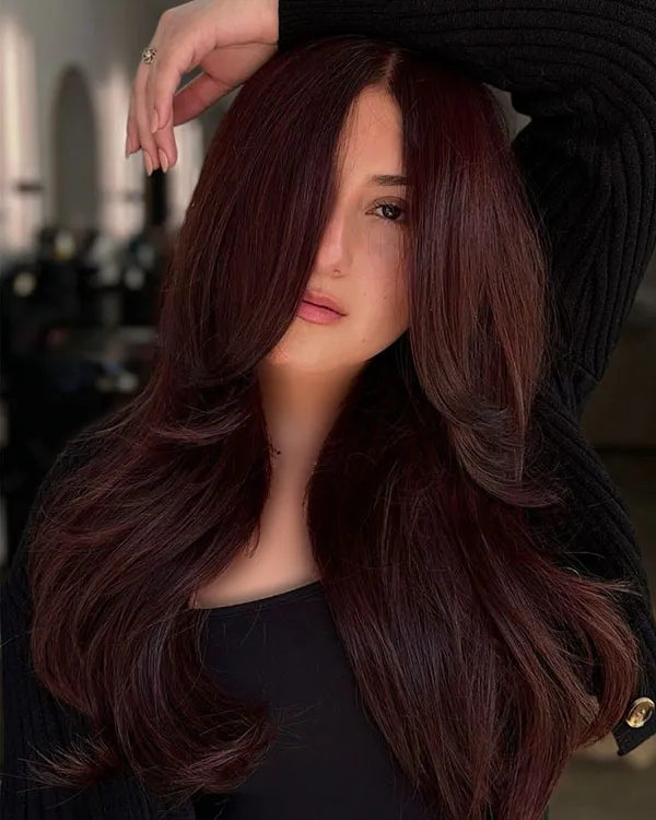 Dark burgundy hair color 28