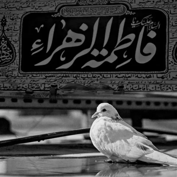 دکور فاطمیه 1404 — فضایی دلانگیز برای یاد و احترام حضرت زهرا (س) 17 Fatima Decor 13