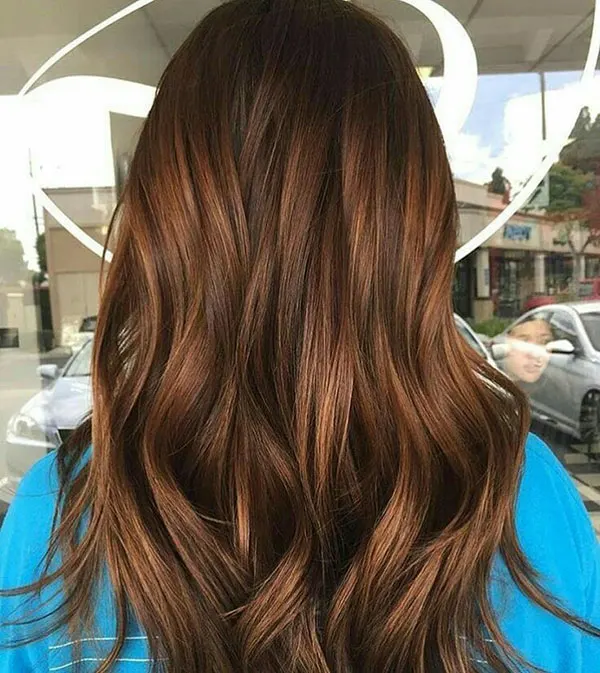 Natural chocolate hair color 1