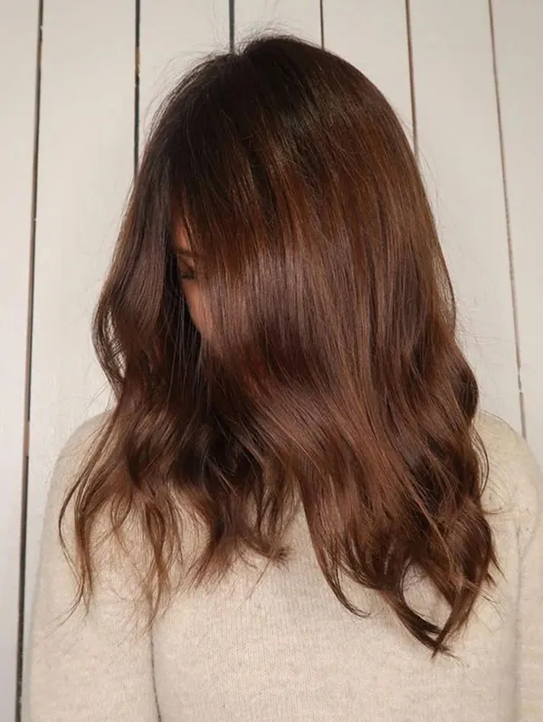 Natural chocolate hair color 19