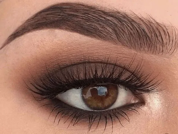 Semi smoky shade 11