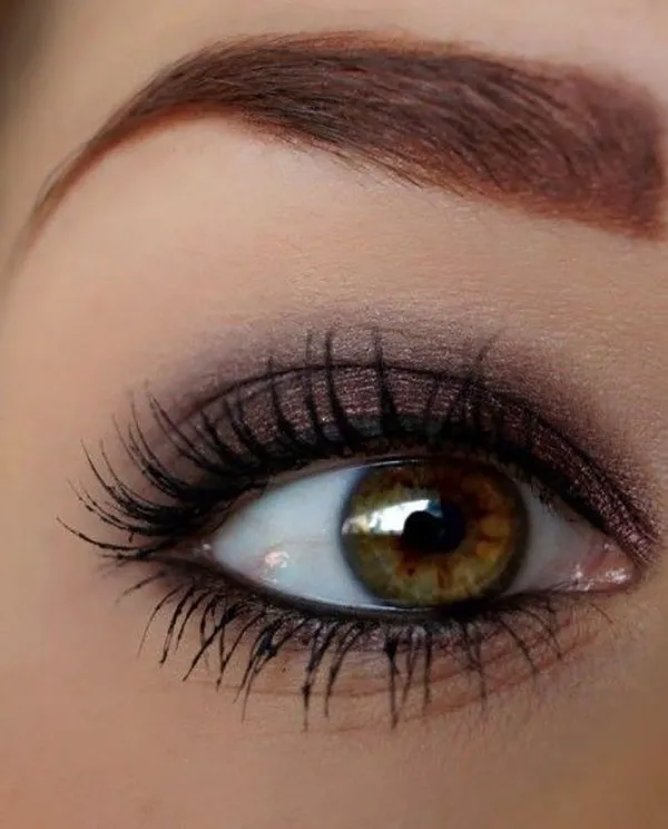 Semi smoky shade 12
