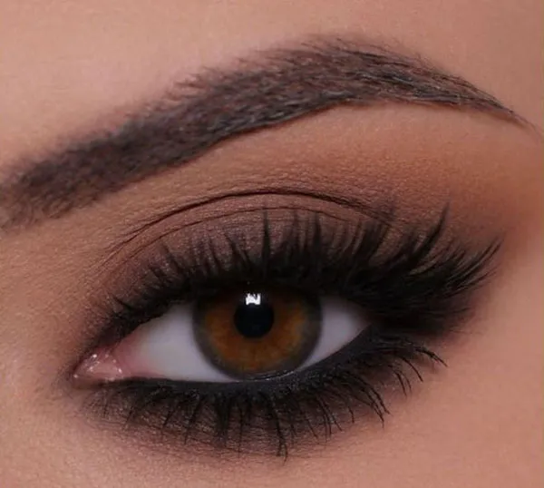Semi smoky shade 13
