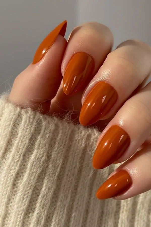 جدیدترین طرح ناخن پاییزی ساده 2025 دخترانه ولی دلبر مخصوص روزای سرد🍂 31 The latest simple autumn nail design 27