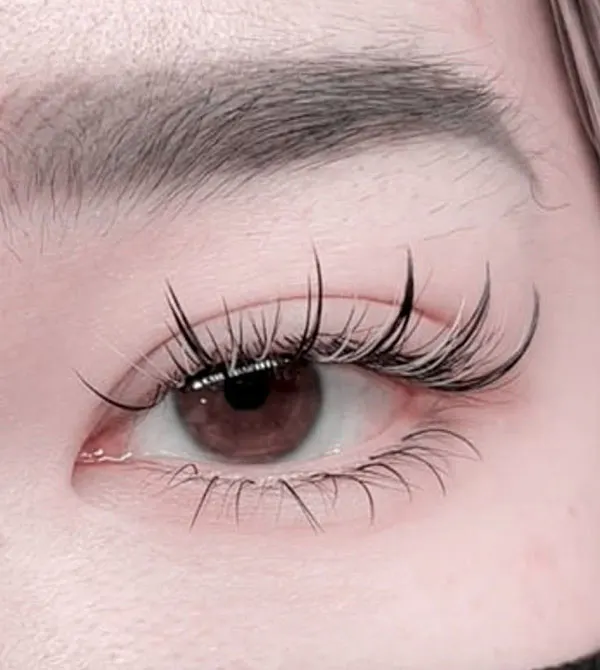 Types of eyelash extensions 13