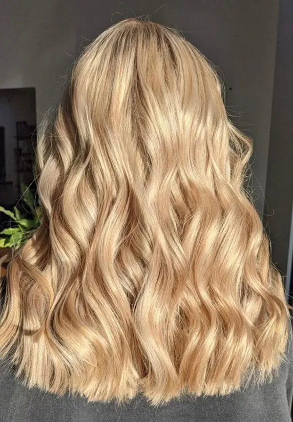 Very light golden blonde hair color 1