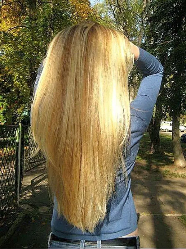 Very light golden blonde hair color 5