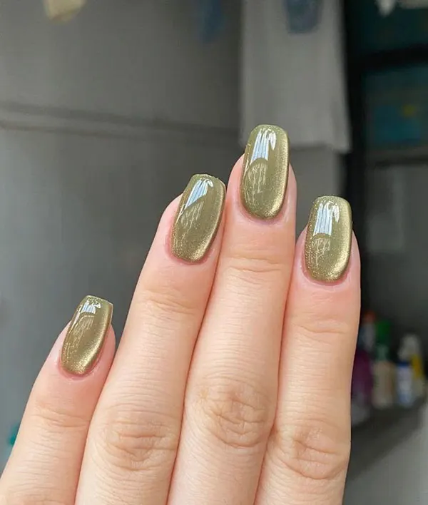 Ace nail implant 1