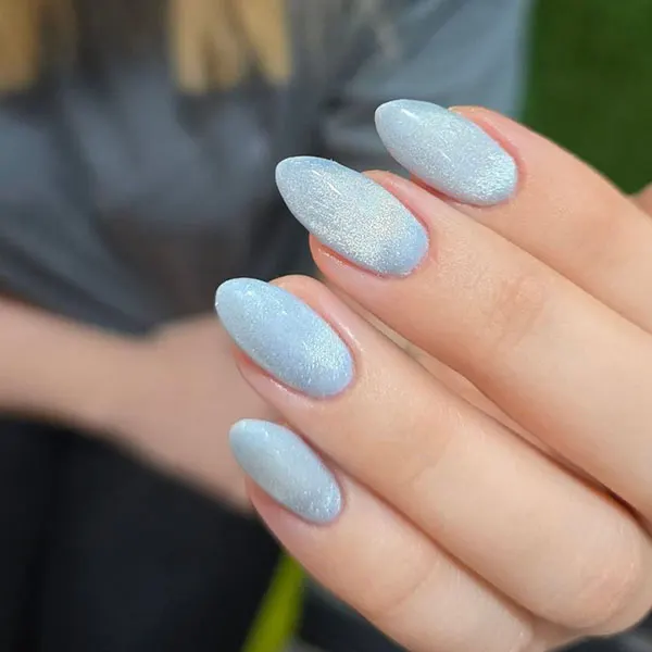Ace nail implant 15