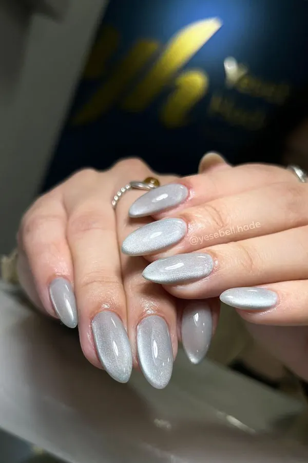 Ace nail implant 19