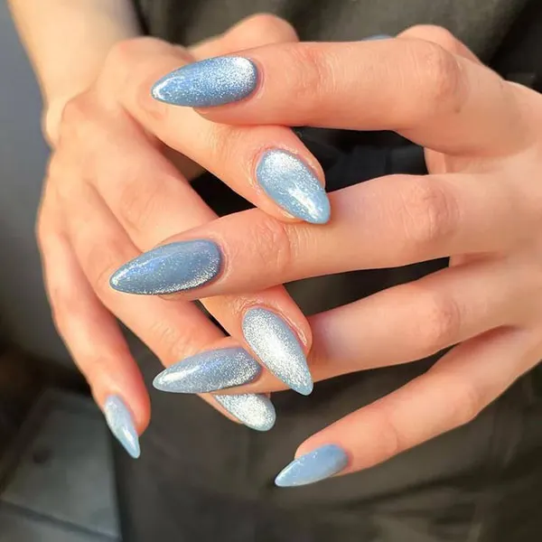 Ace nail implant 26