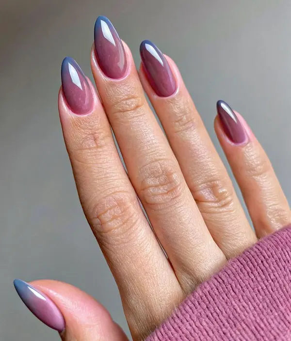Ace nail implant 6