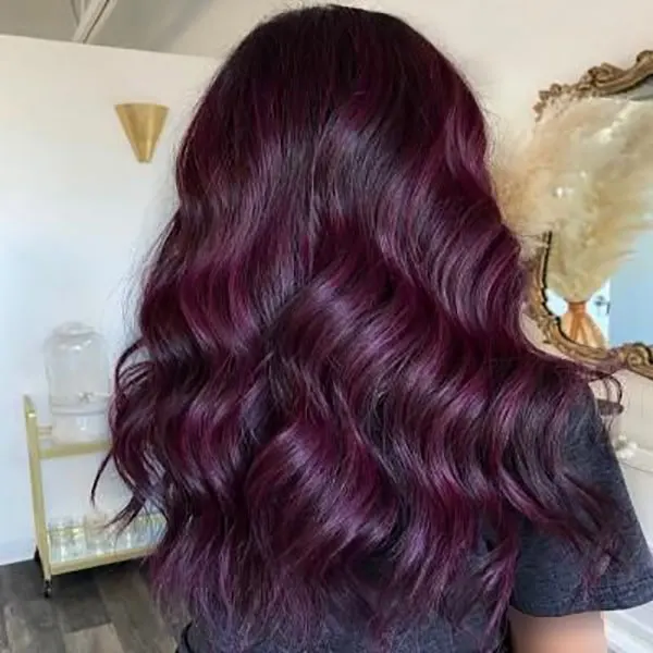 Dark purple hair color 2