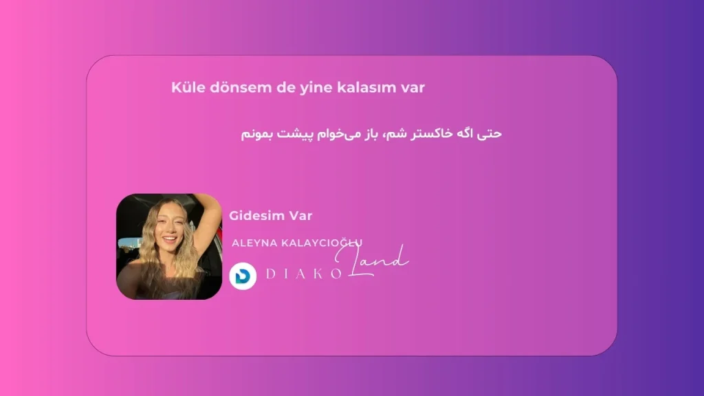 متن و ترجمه آهنگ Sunflowers از Louis Tomlinson 2 متن و ترجمه آهنگ Gidesim Var از Aleyna Kalaycıoğlu