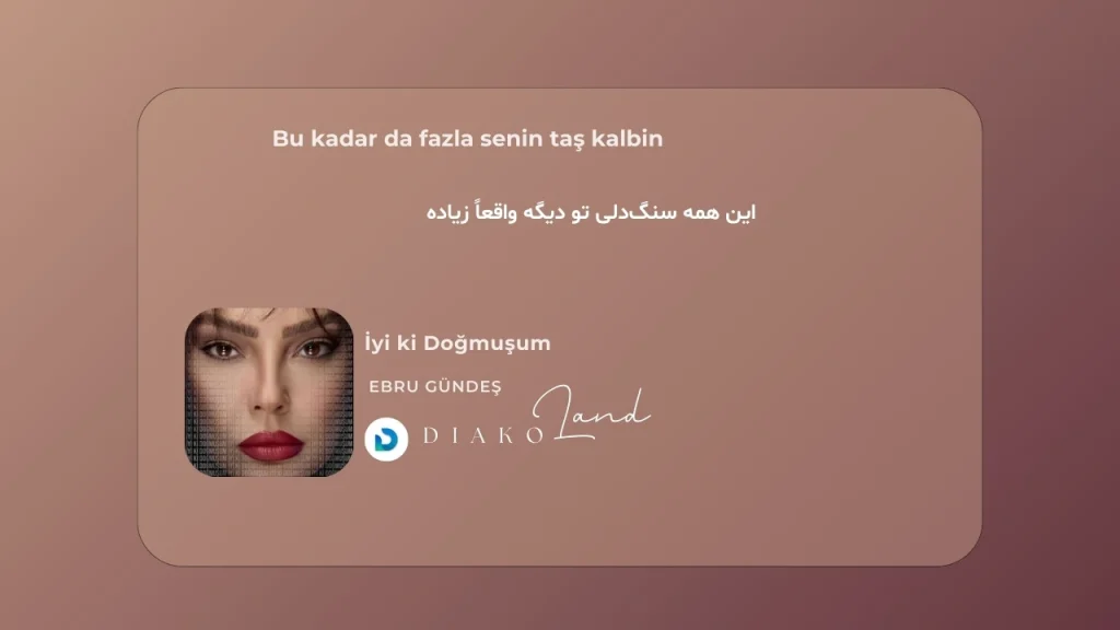 متن و ترجمه آهنگ Bir Kuş Uçar از Cem Adrian 1 متن و ترجمه آهنگ İyi ki Doğmuşum از Ebru Gündeş