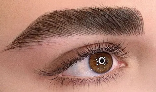 33 مدل ابرو فیبروز جدید؛ ترند تمیز و دخترونه برای چهرههای ظریف 19 New Fibrous Eyebrow Model 16