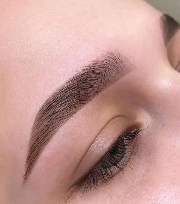 Photo of eyebrow 14