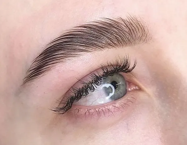 Photo of eyebrow 17
