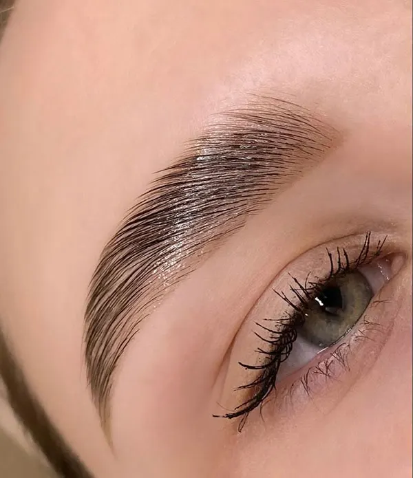 Photo of eyebrow 22