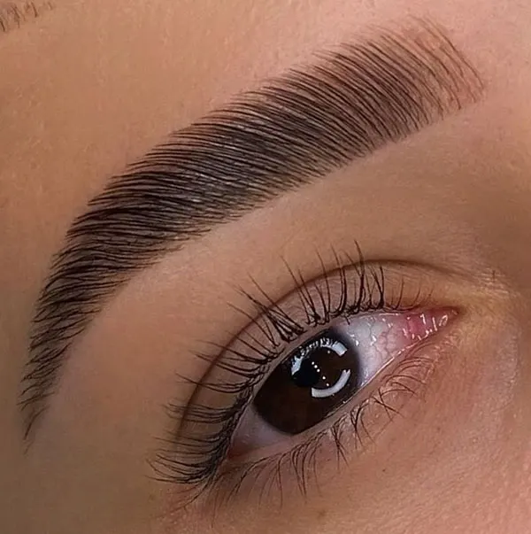 Photo of eyebrow 4