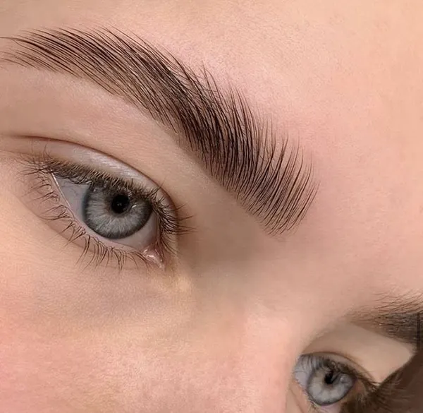 Photo of eyebrow 5