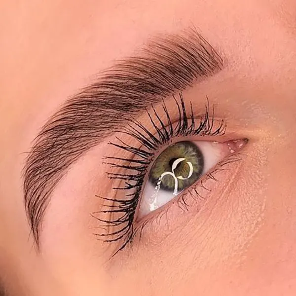 Photo of eyebrow 7
