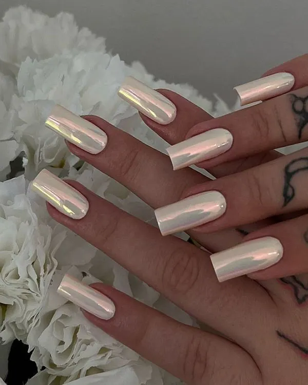 Shell nail model 1