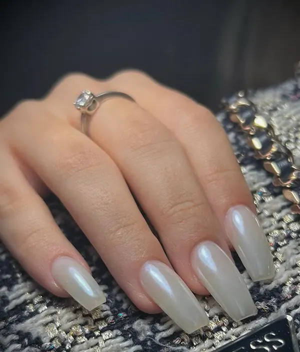 Shell nail model 22