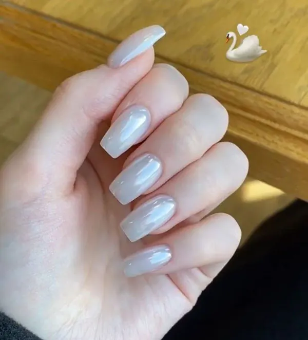 Shell nail model 5