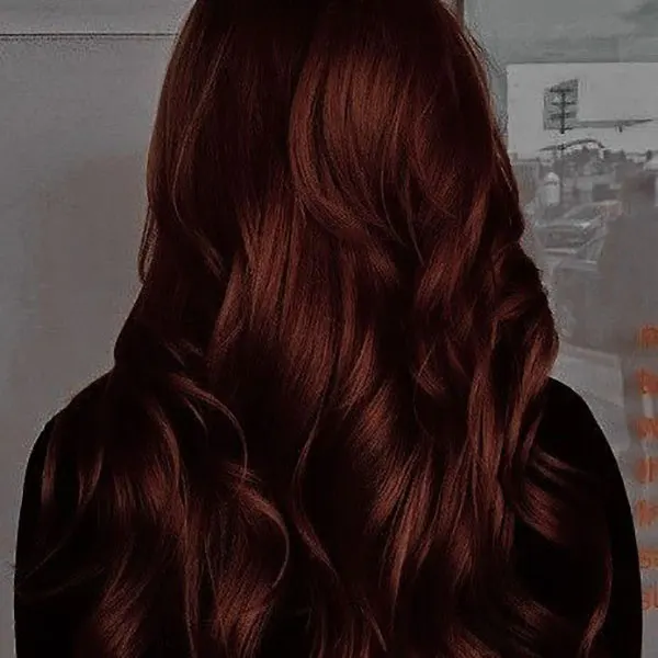 33 ایده رنگ مو شاه بلوطی؛ طبیعی، گرم و فوقالعاده دلنشین! 22 Chestnut hair color 17
