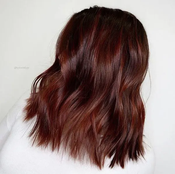 33 ایده رنگ مو شاه بلوطی؛ طبیعی، گرم و فوقالعاده دلنشین! 34 Chestnut hair color 21