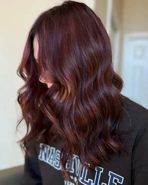33 ایده رنگ مو شاه بلوطی؛ طبیعی، گرم و فوقالعاده دلنشین! 12 Chestnut hair color 9