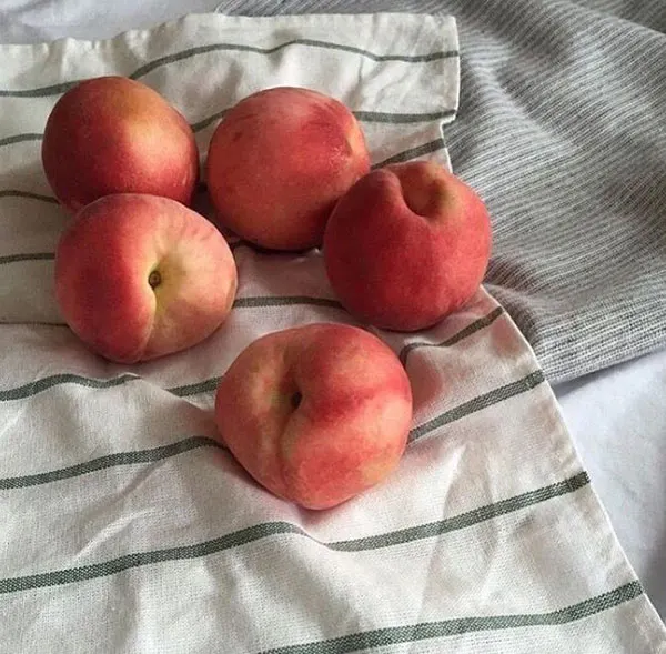 5 ترفند نگهداری هلو در یخچال؛ چطور هلو رو تازه و خوشعطر نگه داریم؟🍑 4 Tips for storing peaches in the refrigerator 1