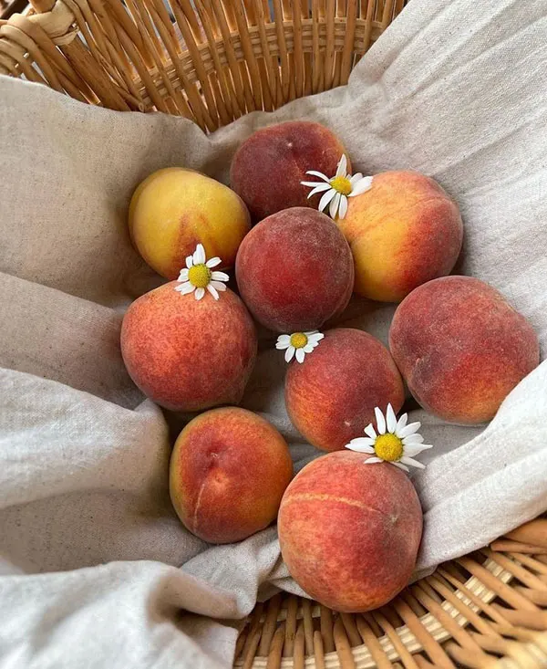 5 ترفند نگهداری هلو در یخچال؛ چطور هلو رو تازه و خوشعطر نگه داریم؟🍑 5 Tips for storing peaches in the refrigerator 2