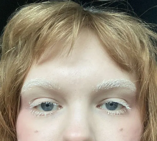Bleach eyebrows 27
