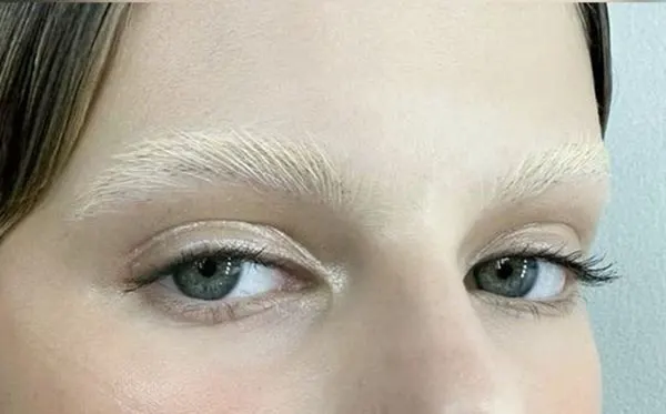 Bleach eyebrows 29