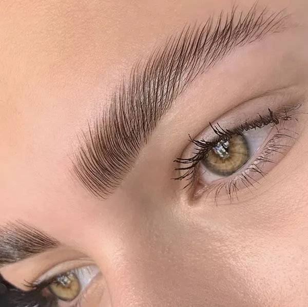 Brown micro eyebrow model 15