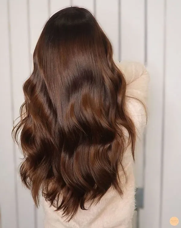 Cocoa hair color 4