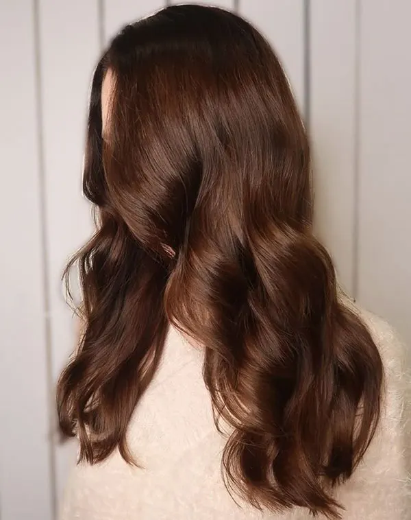 Cocoa hair color 6