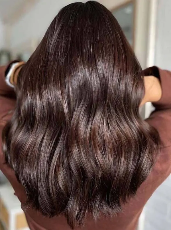 Cocoa hair color 9