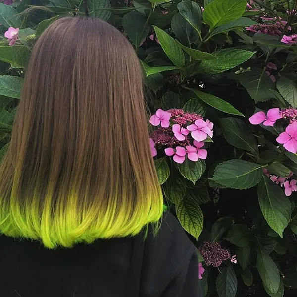 Dyeing the bottom of the hair 21