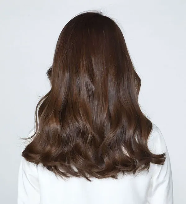 Natural brown hair color 22