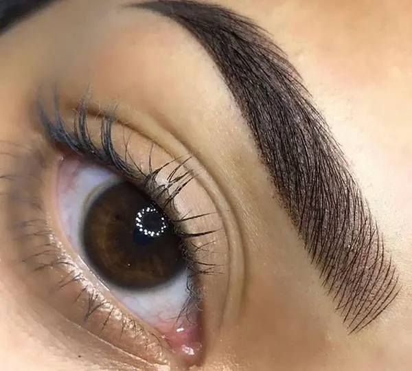 Natural eyebrow transplant model 23