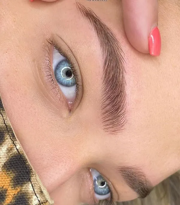 Natural eyebrow transplant model 25