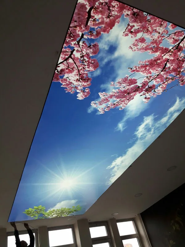 virtual sky ceiling kitchen diakoland photo 14