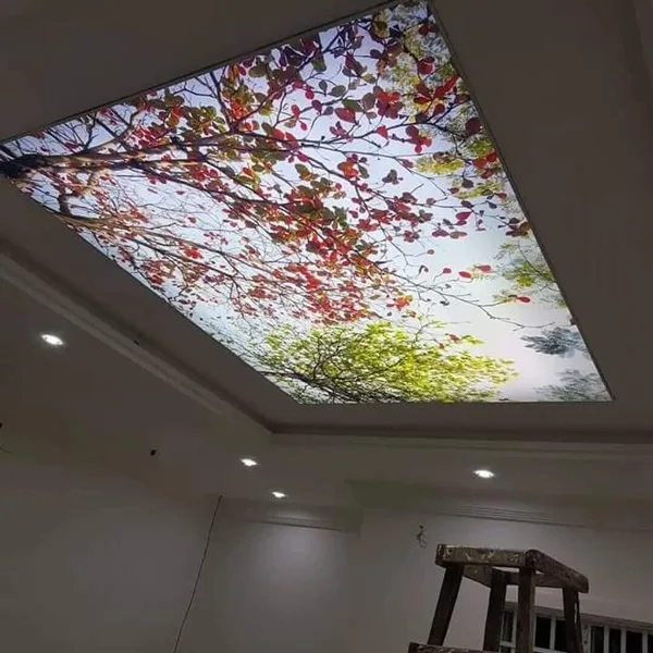 virtual sky ceiling kitchen diakoland photo 20