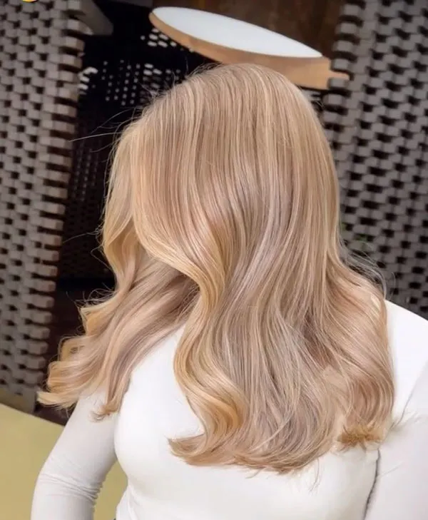 Champagne hair color 26